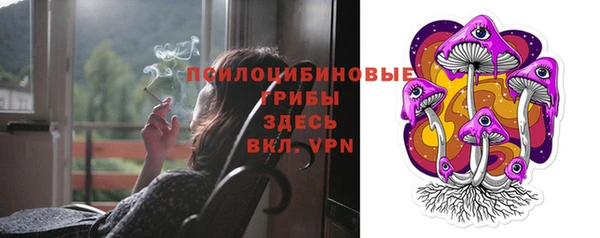 прущая мука Вязники