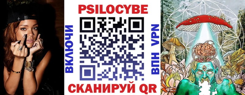 OMG tor  Мостовской  Псилоцибиновые грибы прущие грибы 